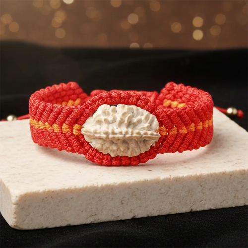 Two forces. One Union.  Balance With in 2 Mukhi Rudraksha Kalawa Thread Bracelet