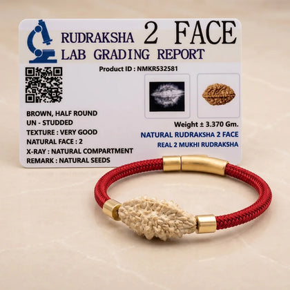 Two forces. One Union.  Balance With in 2 Mukhi Rudraksha Kalawa Bracelet