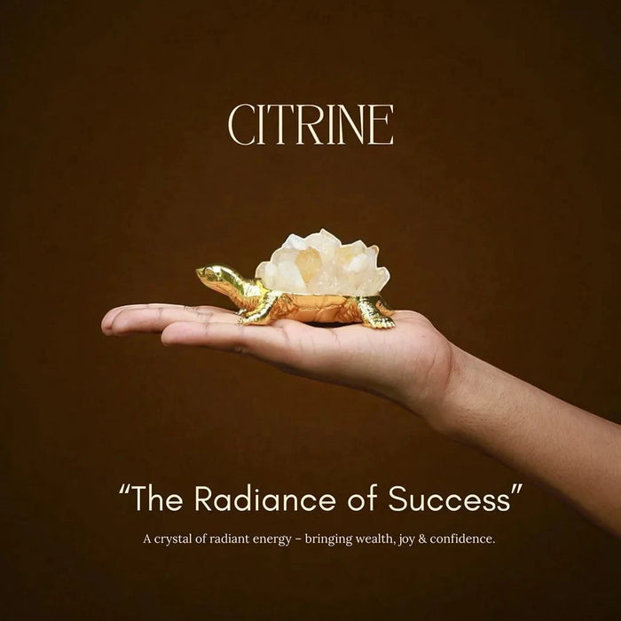 Journey to Abundance with Our Lucky Turtles: Pyrite, Aventurine, Clear Quartz & Citrine