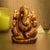 The Bliss & Wisdom Giver Natural Stones Made Ganesha idol